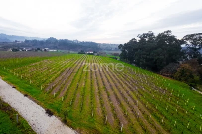 Quinta T4 para Venda em Macieira da Lixa e Caramos