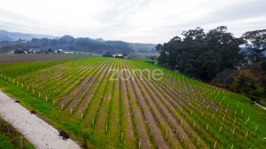 Quinta T4 para Venda em Macieira da Lixa e Caramos