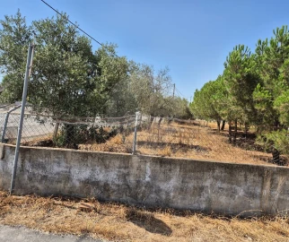 Terreno para Venda em Pinhal Novo