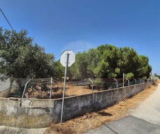 Terreno para Venda em Pinhal Novo