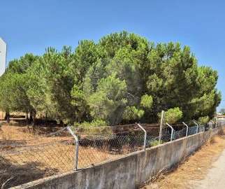 Terreno para Venda em Pinhal Novo