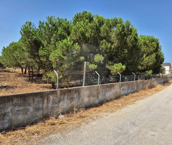 Terreno para Venda em Pinhal Novo Foto 5