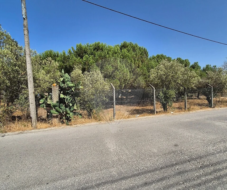 Terreno para Venda em Pinhal Novo Foto 1
