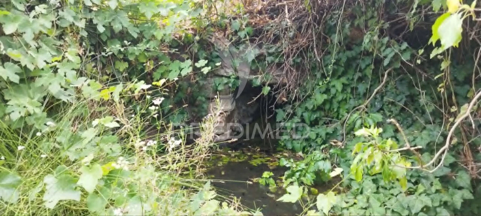 Quinta T3 para Venda em Santa Maria da Devesa Foto 6