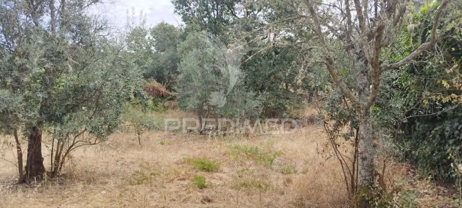 Quinta T3 para Venda em Santa Maria da Devesa Foto 7