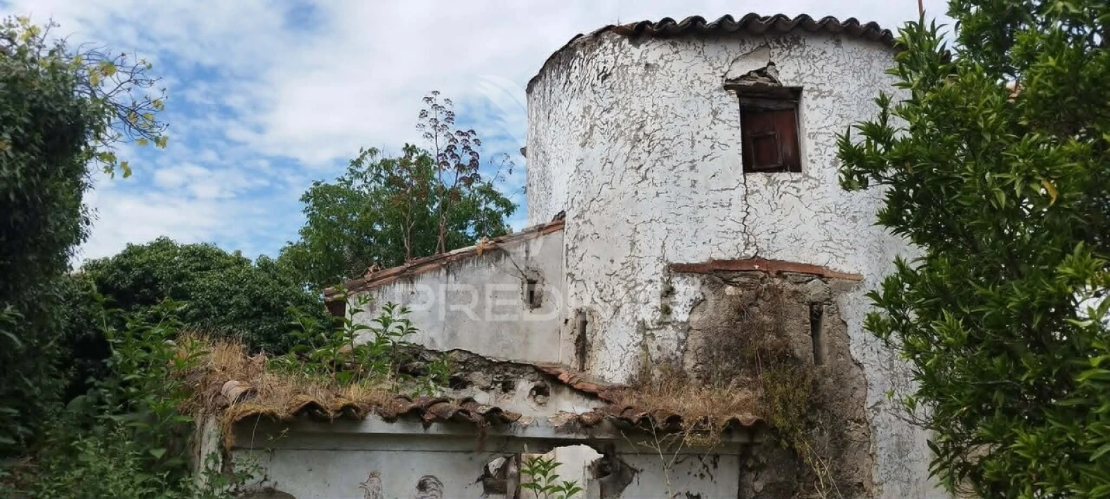 Quinta T3 para Venda em Santa Maria da Devesa Foto 17