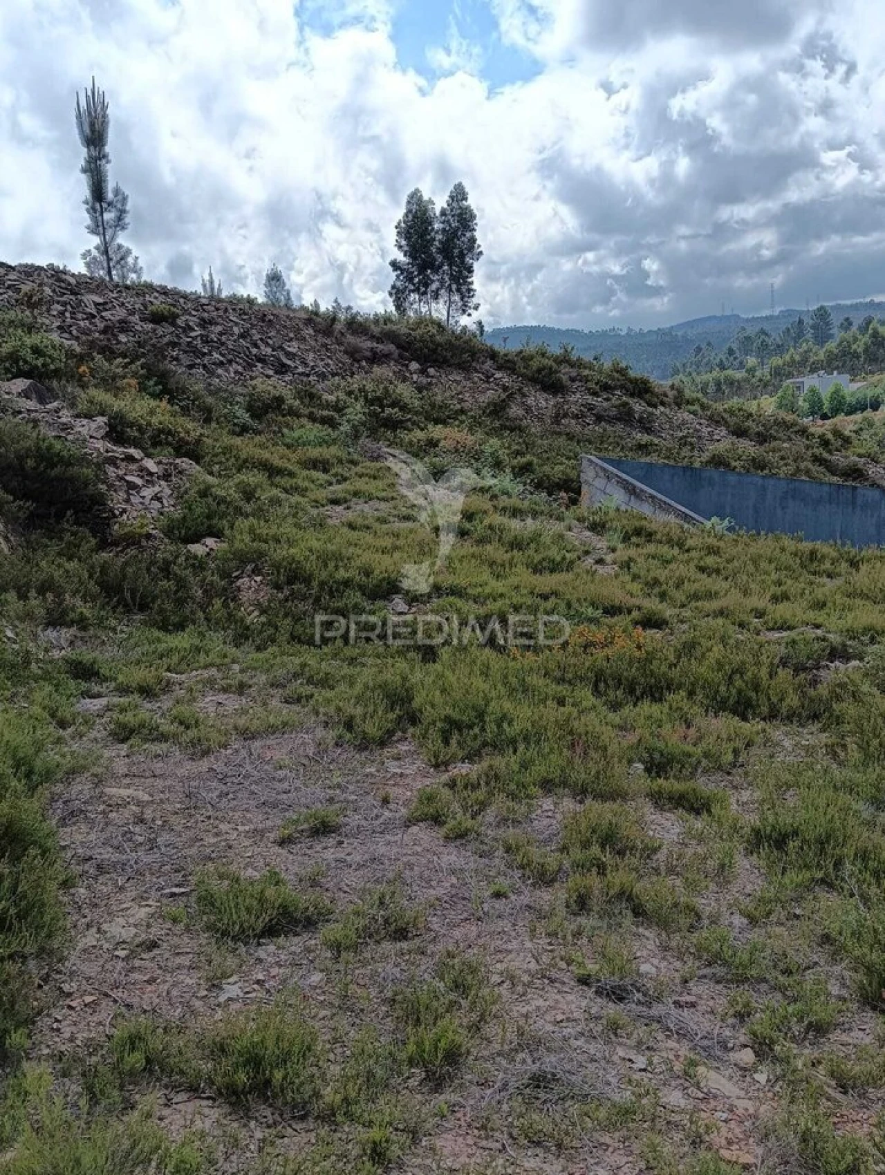 Terreno para Venda em Campo e Sobrado Foto 11
