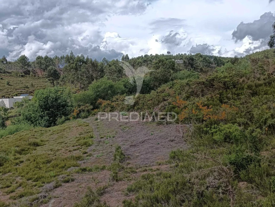 Terreno para Venda em Campo e Sobrado Foto 13