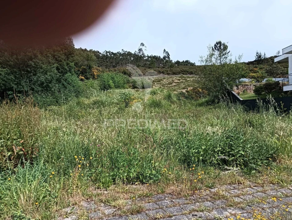 Terreno para Venda em Campo e Sobrado Foto 8