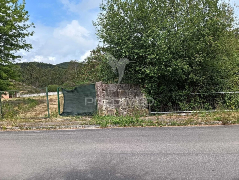 Terreno para Venda em Campo e Sobrado Foto 5