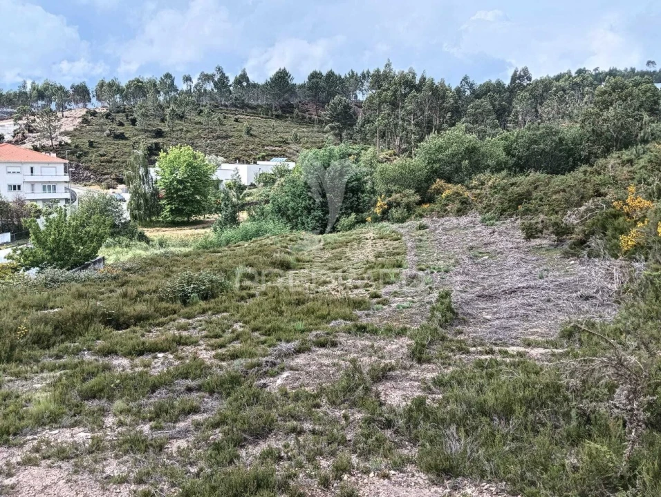 Terreno para Venda em Campo e Sobrado Foto 12