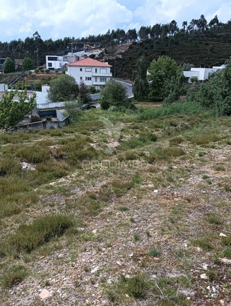 Terreno para Venda em Campo e Sobrado Foto 14