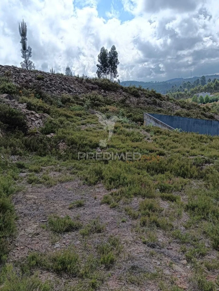 Terreno para Venda em Campo e Sobrado Foto 11