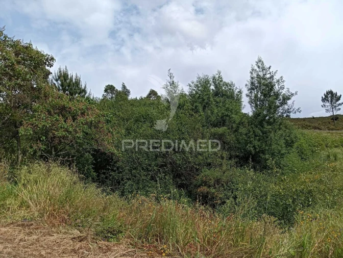 Terreno para Venda em Campo e Sobrado Foto 10