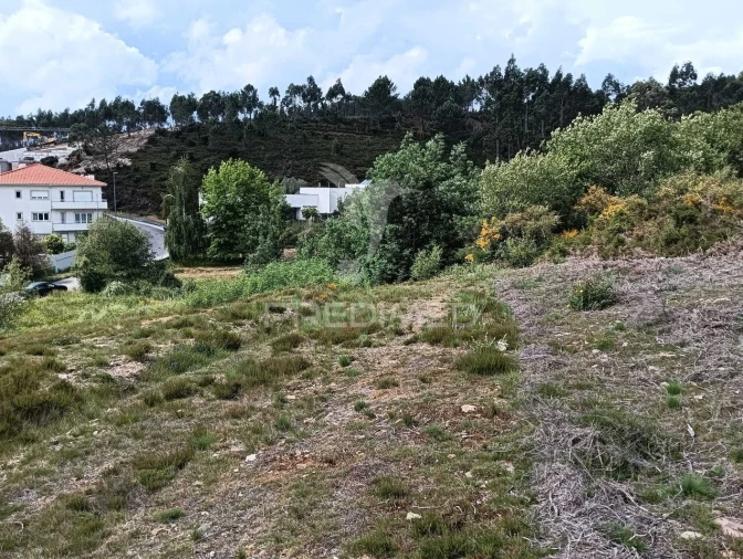 Terreno para Venda em Campo e Sobrado Foto 15