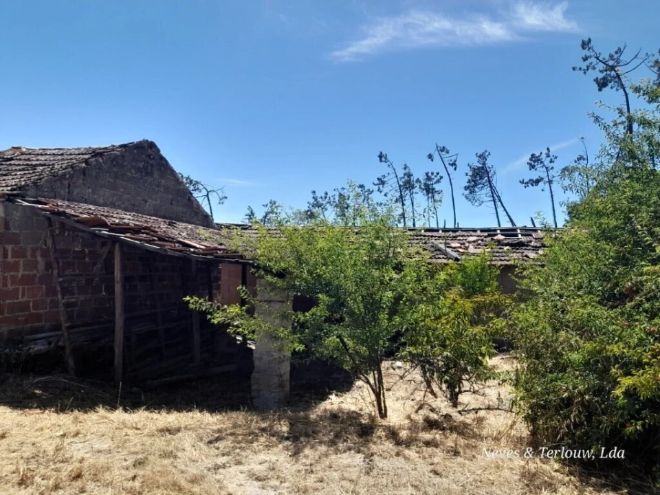 Moradia T6 para Venda em Monte Redondo e Carreira Foto 39