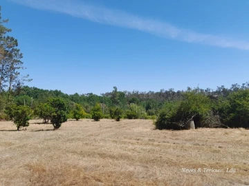 Moradia T6 para Venda em Monte Redondo e Carreira