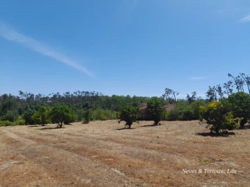 Moradia T6 para Venda em Monte Redondo e Carreira