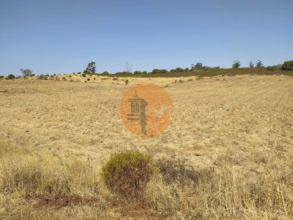 Terreno para Venda em Martim Longo Foto 1