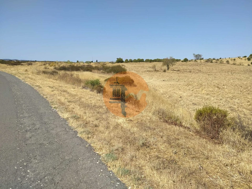 Terreno para Venda em Martim Longo Foto 6