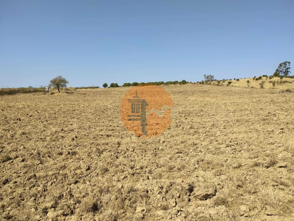 Terreno para Venda em Martim Longo Foto 8