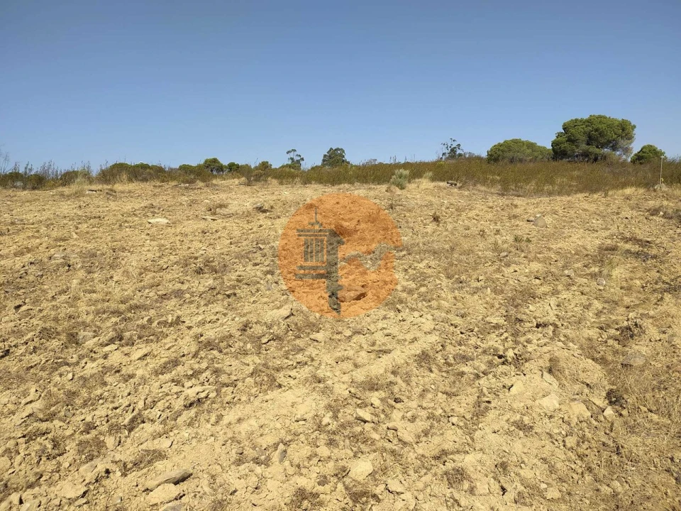 Terreno para Venda em Martim Longo Foto 9