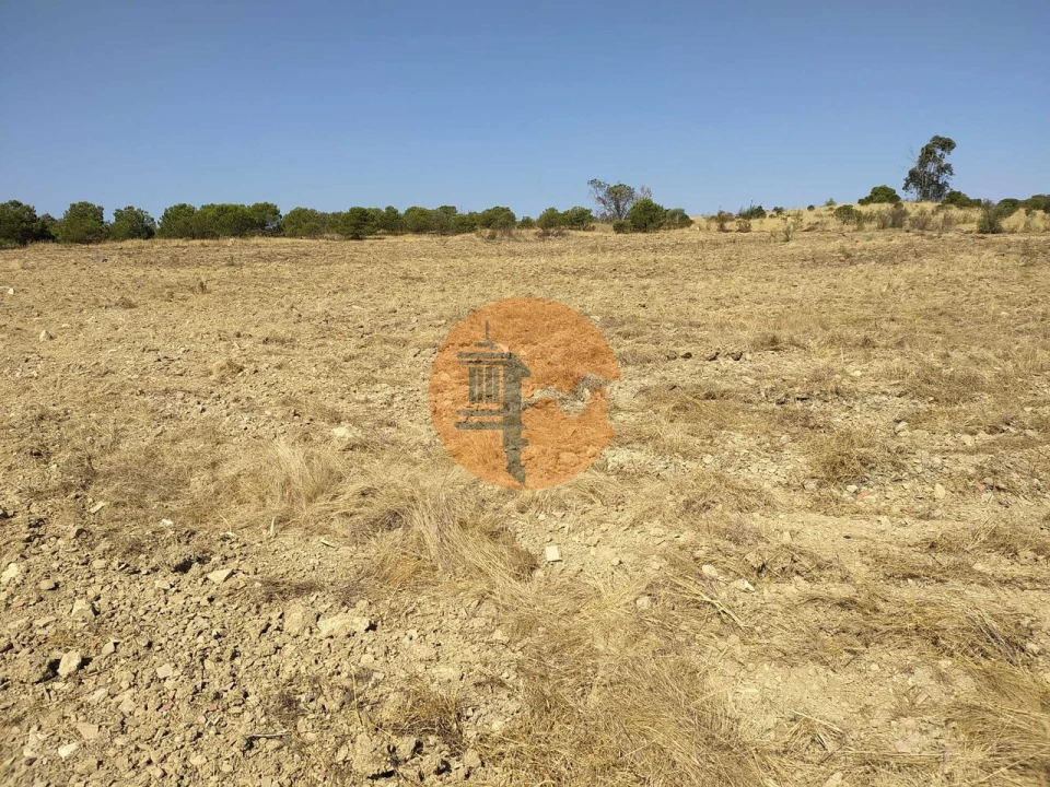 Terreno para Venda em Martim Longo Foto 15