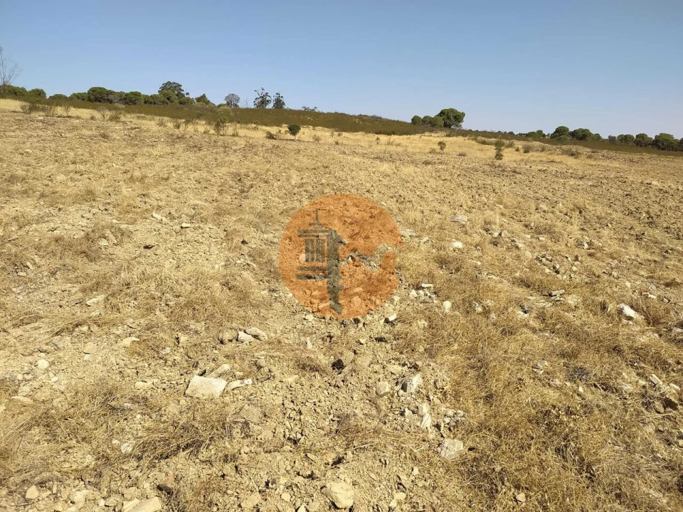 Terreno para Venda em Martim Longo Foto 18