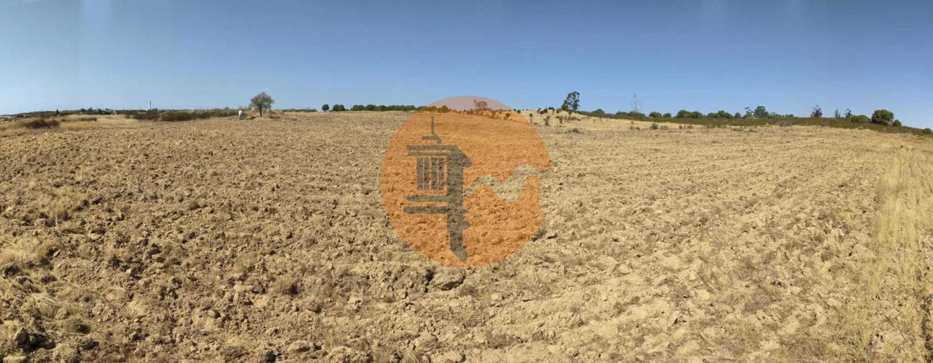 Terreno para Venda em Martim Longo Foto 19