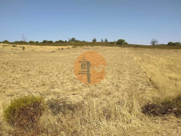 Terreno para Venda em Martim Longo