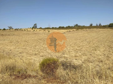 Terreno para Venda em Martim Longo