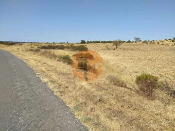 Terreno para Venda em Martim Longo