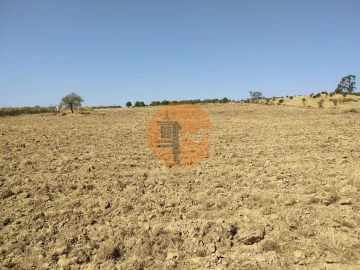 Terreno para Venda em Martim Longo