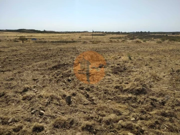 Terreno para Venda em Martim Longo