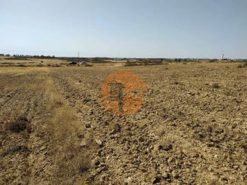 Terreno para Venda em Martim Longo
