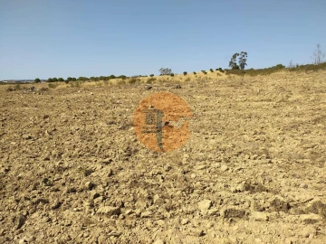 Terreno para Venda em Martim Longo
