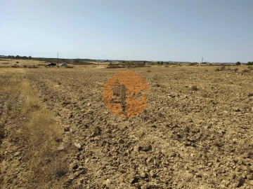 Terreno para Venda em Martim Longo