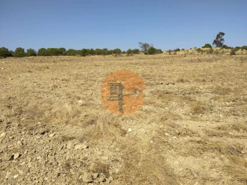 Terreno para Venda em Martim Longo