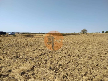 Terreno para Venda em Martim Longo