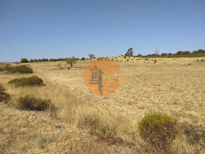 Terreno para Venda em Martim Longo Foto 5