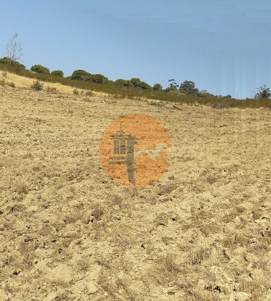 Terreno para Venda em Martim Longo Foto 7