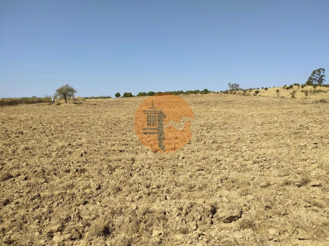 Terreno para Venda em Martim Longo Foto 8