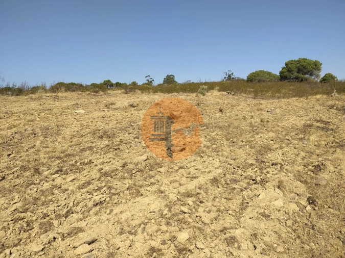 Terreno para Venda em Martim Longo Foto 9