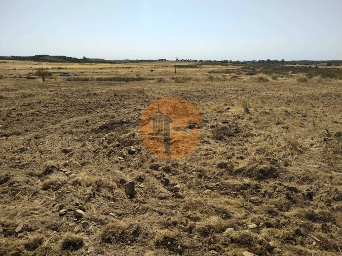 Terreno para Venda em Martim Longo Foto 10