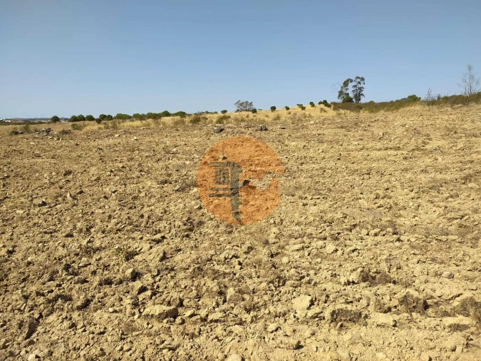Terreno para Venda em Martim Longo Foto 12