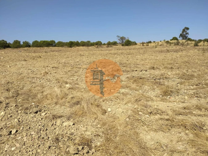 Terreno para Venda em Martim Longo Foto 15