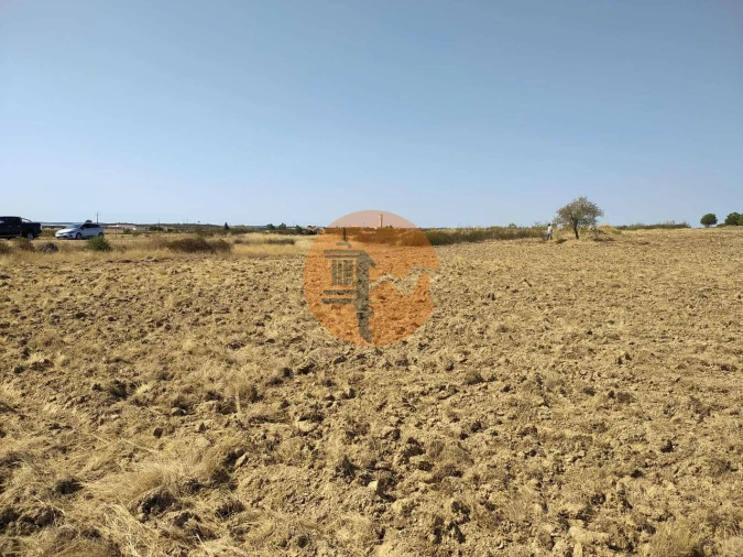 Terreno para Venda em Martim Longo Foto 17