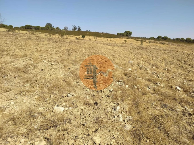 Terreno para Venda em Martim Longo Foto 18