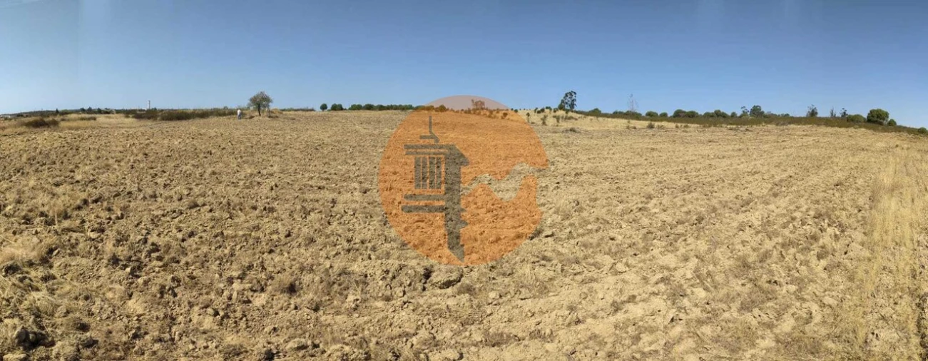 Terreno para Venda em Martim Longo Foto 19