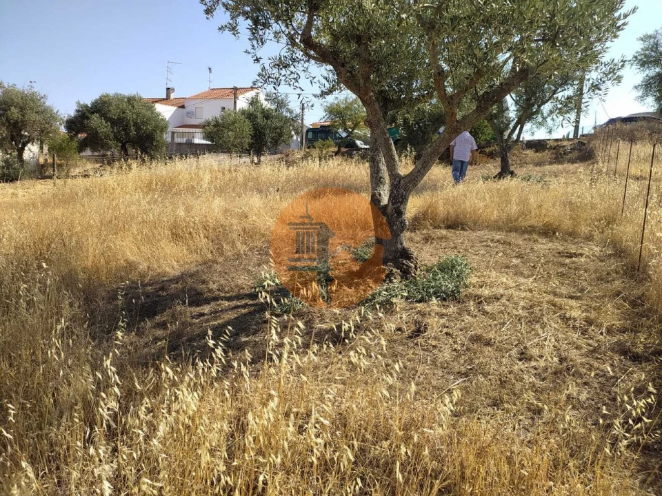 Terreno para Venda em Martim Longo Foto 8